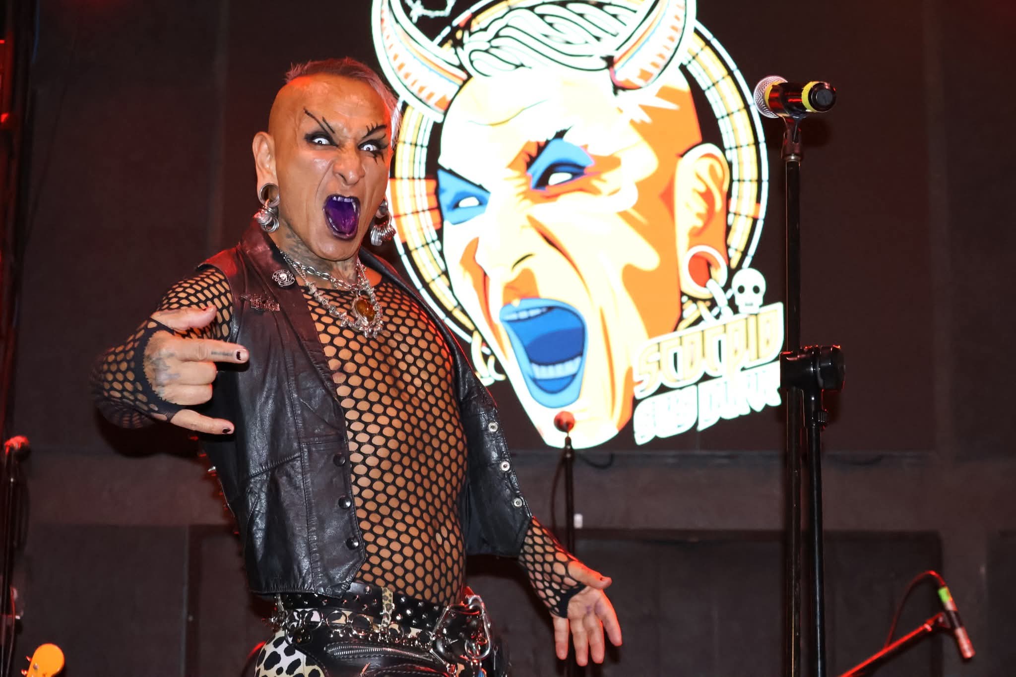 A side view of a plate of figs and berries.